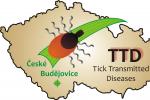 Logo of the Laboratory of Tick transmitted diseases Logo of the Laboratory of Tick transmitted diseases