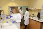 Lab work Lab work